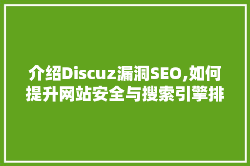 介绍Discuz漏洞SEO,如何提升网站安全与搜索引擎排名