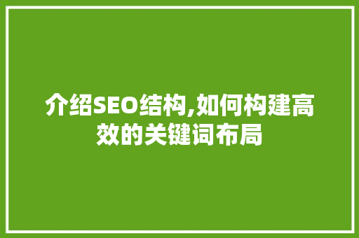 介绍SEO结构,如何构建高效的关键词布局