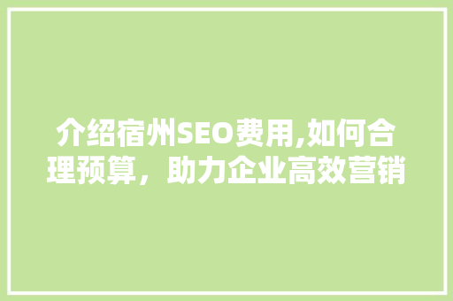 介绍宿州SEO费用,如何合理预算，助力企业高效营销