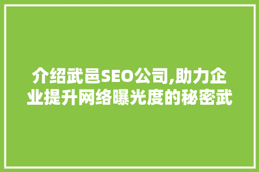 介绍武邑SEO公司,助力企业提升网络曝光度的秘密武器