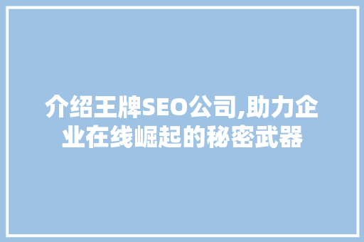 介绍王牌SEO公司,助力企业在线崛起的秘密武器