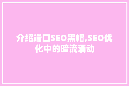 介绍端口SEO黑帽,SEO优化中的暗流涌动