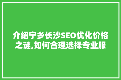 介绍宁乡长沙SEO优化价格之谜,如何合理选择专业服务