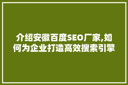 介绍安徽百度SEO厂家,如何为企业打造高效搜索引擎优化步骤