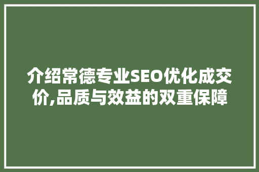 介绍常德专业SEO优化成交价,品质与效益的双重保障