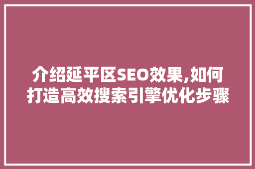 介绍延平区SEO效果,如何打造高效搜索引擎优化步骤