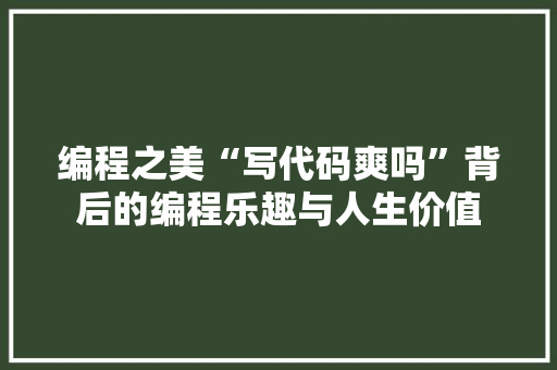 编程之美“写代码爽吗”背后的编程乐趣与人生价值