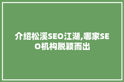 介绍松溪SEO江湖,哪家SEO机构脱颖而出