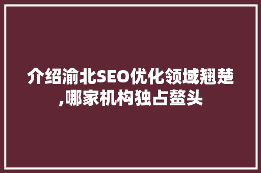 介绍渝北SEO优化领域翘楚,哪家机构独占鳌头