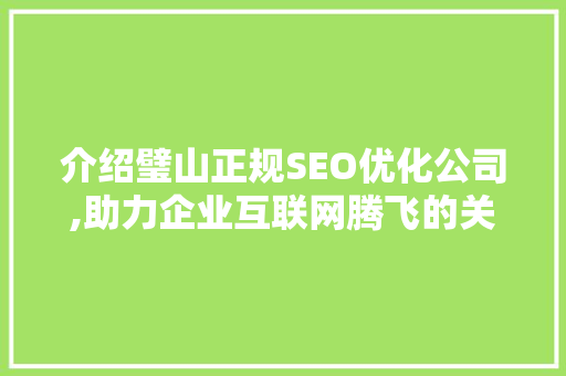 介绍璧山正规SEO优化公司,助力企业互联网腾飞的关键步骤