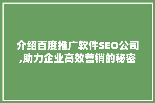 介绍百度推广软件SEO公司,助力企业高效营销的秘密武器