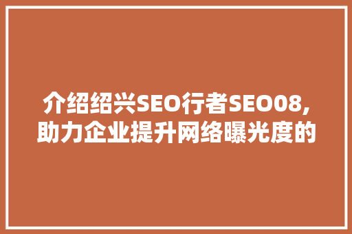 介绍绍兴SEO行者SEO08,助力企业提升网络曝光度的秘密武器