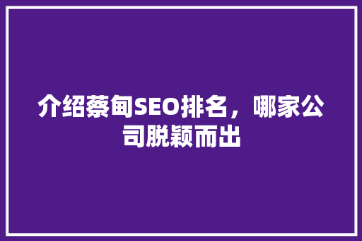 介绍蔡甸SEO排名，哪家公司脱颖而出
