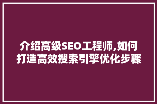 介绍高级SEO工程师,如何打造高效搜索引擎优化步骤
