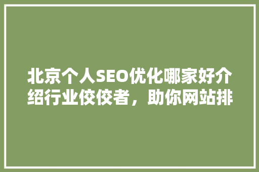 北京个人SEO优化哪家好介绍行业佼佼者，助你网站排名飙升！