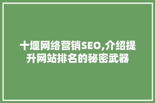 十堰网络营销SEO,介绍提升网站排名的秘密武器