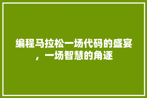 编程马拉松一场代码的盛宴，一场智慧的角逐