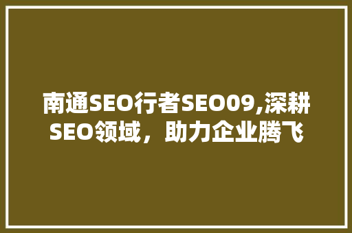 南通SEO行者SEO09,深耕SEO领域，助力企业腾飞
