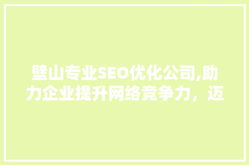 壁山专业SEO优化公司,助力企业提升网络竞争力，迈向数字时代巅峰