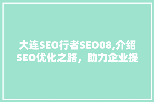 大连SEO行者SEO08,介绍SEO优化之路，助力企业提升网络竞争力  第1张