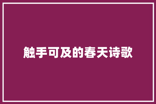 天道酬勤,SEO之路的坚持与智慧_详细介绍唯一SEO网的成功之路