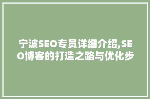 宁波SEO专员详细介绍,SEO博客的打造之路与优化步骤