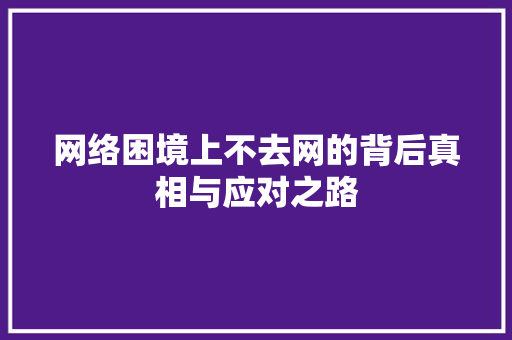 网络困境上不去网的背后真相与应对之路