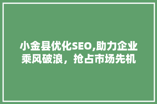 小金县优化SEO,助力企业乘风破浪，抢占市场先机