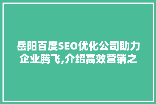 岳阳百度SEO优化公司助力企业腾飞,介绍高效营销之路