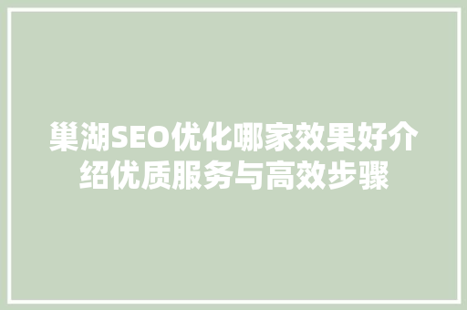 巢湖SEO优化哪家效果好介绍优质服务与高效步骤