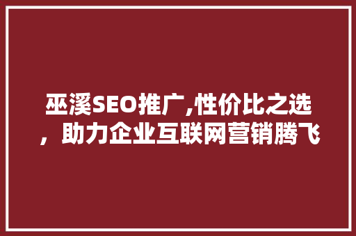 巫溪SEO推广,性价比之选，助力企业互联网营销腾飞