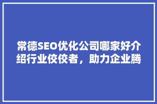 常德SEO优化公司哪家好介绍行业佼佼者，助力企业腾飞