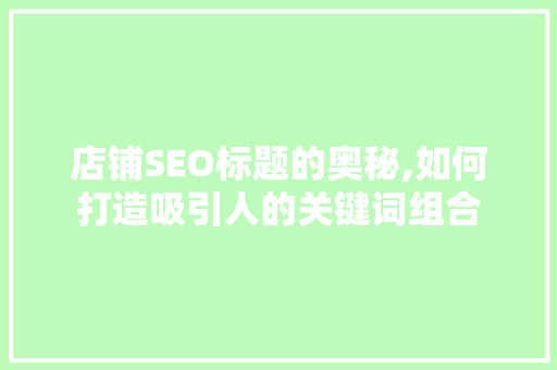 店铺SEO标题的奥秘,如何打造吸引人的关键词组合