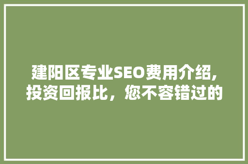 建阳区专业SEO费用介绍,投资回报比，您不容错过的关键指标