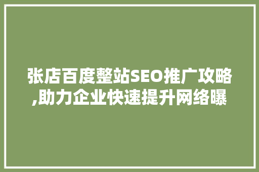 张店百度整站SEO推广攻略,助力企业快速提升网络曝光度