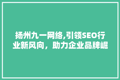 扬州九一网络,引领SEO行业新风向，助力企业品牌崛起
