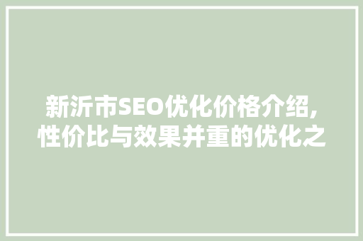 新沂市SEO优化价格介绍,性价比与效果并重的优化之路