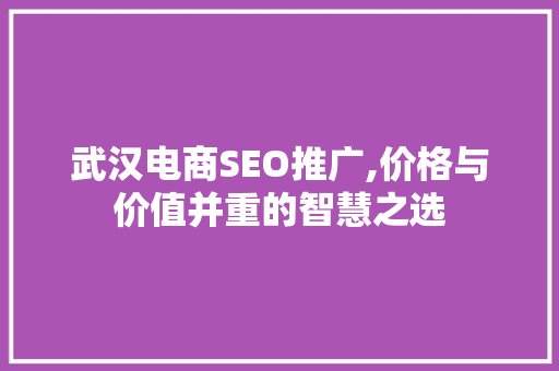 武汉电商SEO推广,价格与价值并重的智慧之选