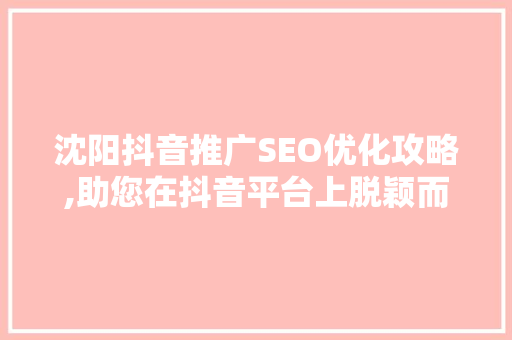 沈阳抖音推广SEO优化攻略,助您在抖音平台上脱颖而出
