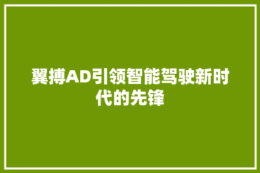 翼搏AD引领智能驾驶新时代的先锋