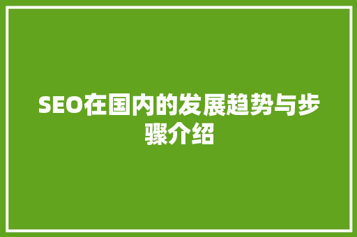 SEO在国内的发展趋势与步骤介绍