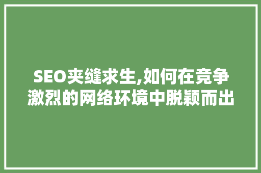 SEO夹缝求生,如何在竞争激烈的网络环境中脱颖而出