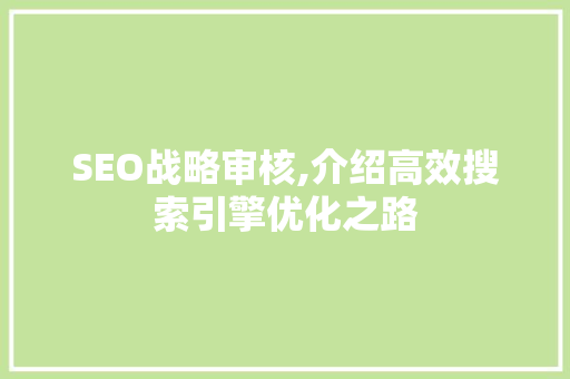 SEO战略审核,介绍高效搜索引擎优化之路