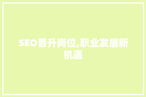 SEO晋升岗位,职业发展新机遇