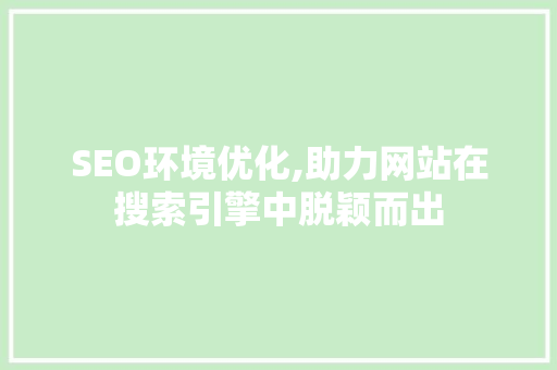SEO环境优化,助力网站在搜索引擎中脱颖而出
