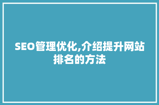 SEO管理优化,介绍提升网站排名的方法