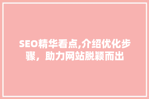 SEO精华看点,介绍优化步骤，助力网站脱颖而出