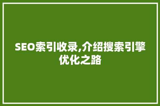 SEO索引收录,介绍搜索引擎优化之路