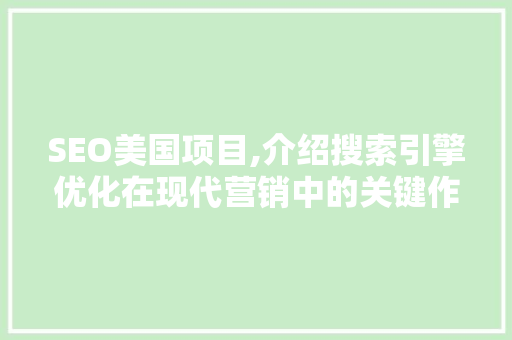 SEO美国项目,介绍搜索引擎优化在现代营销中的关键作用