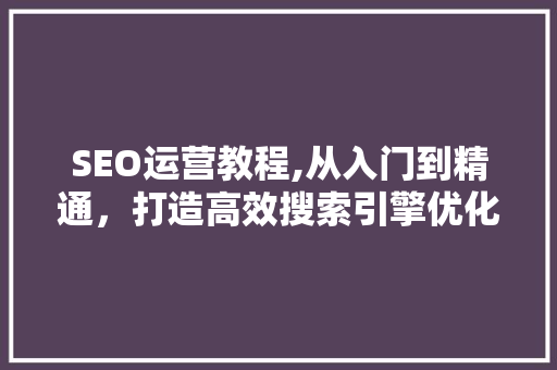 SEO运营教程,从入门到精通，打造高效搜索引擎优化步骤